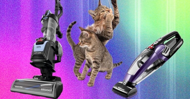 The-Best-Vacuums-for-Pet-Hair.jpg