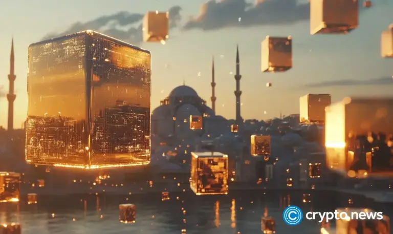 crypto-news-The-evolving-crypto-landscape-in-Turkiye-option02.webp
