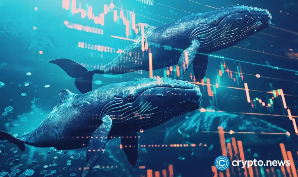 crypto-news-whale-option03.webp