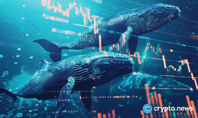 crypto-news-whale-option03.webp