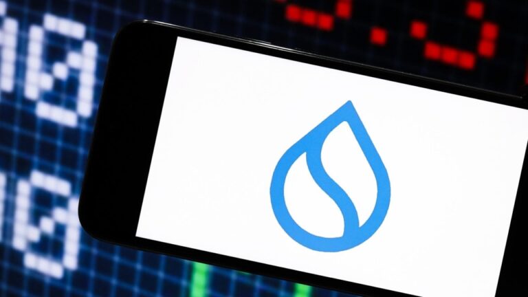 suistablecoins_nwmk.jpg