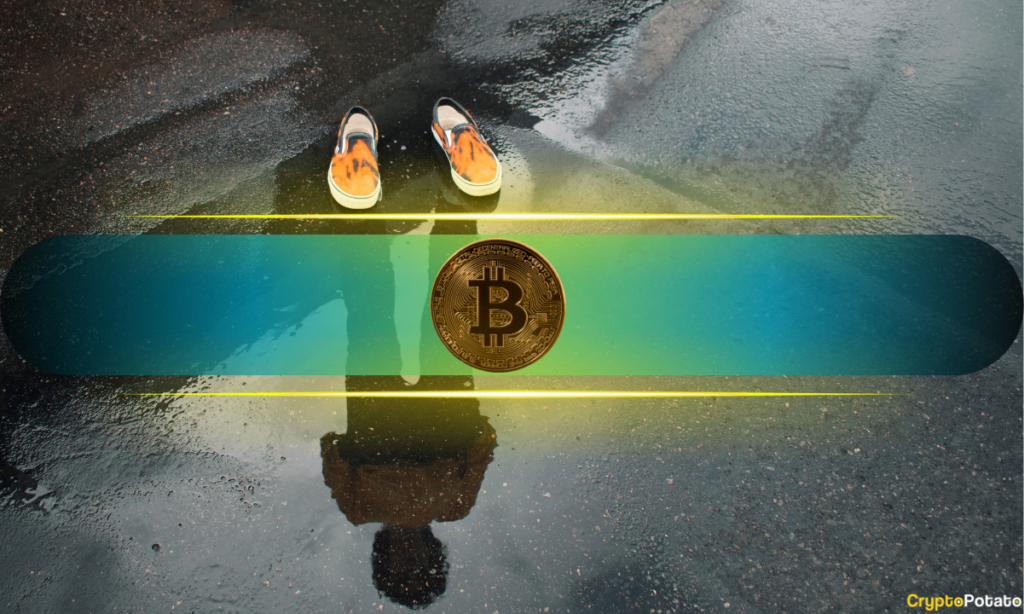 vanishing_bitcoin_cover.png
