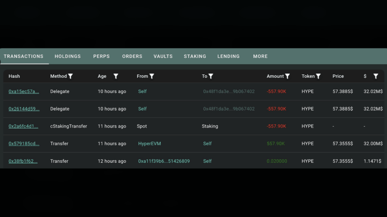 whale-stakes-32-87m-in-hype-as-token-trades-25-below-its-june-peak5_nwmk.png