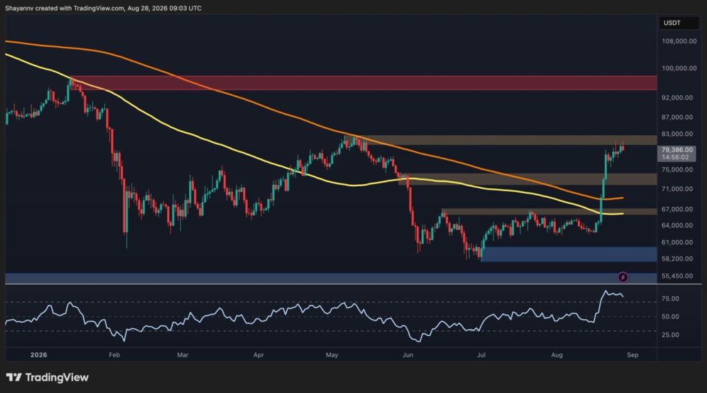 BTC-D-11-scaled.jpg