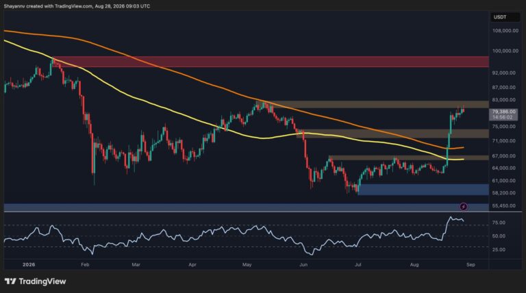 BTC-D-11-scaled.jpg
