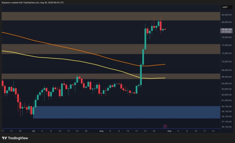 BTC-D-12-scaled.jpg