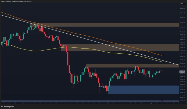 BTC-D-3.jpg