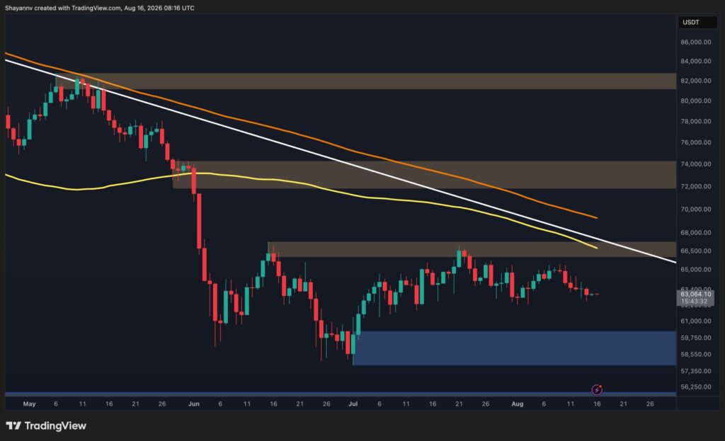 BTC-D-6-scaled.jpg