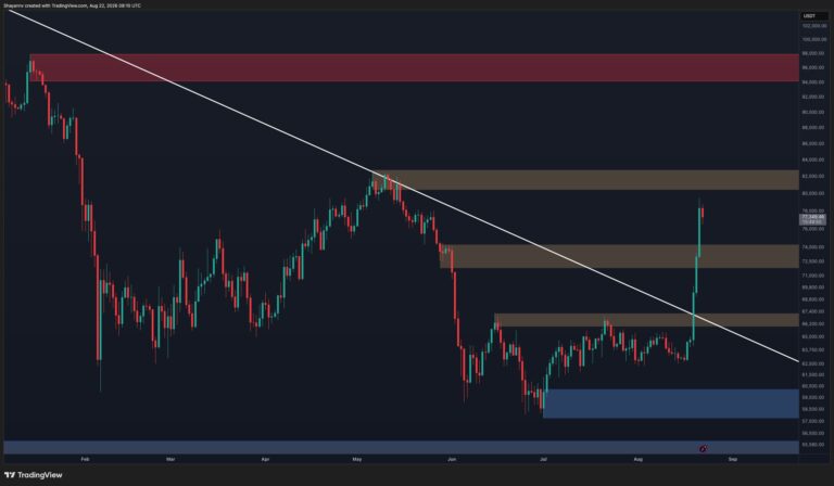 BTC-D-8.jpg