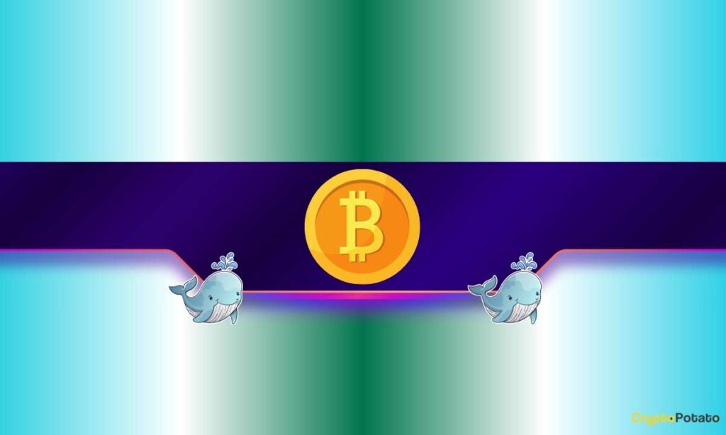 BTC_CB-11.jpg