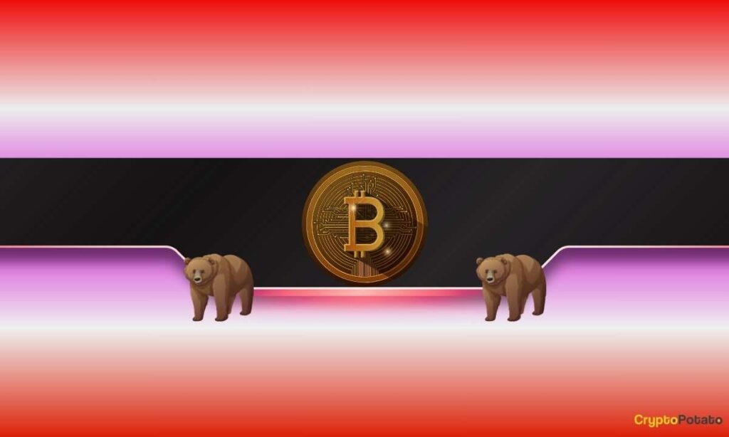BTC_CB-27.jpg
