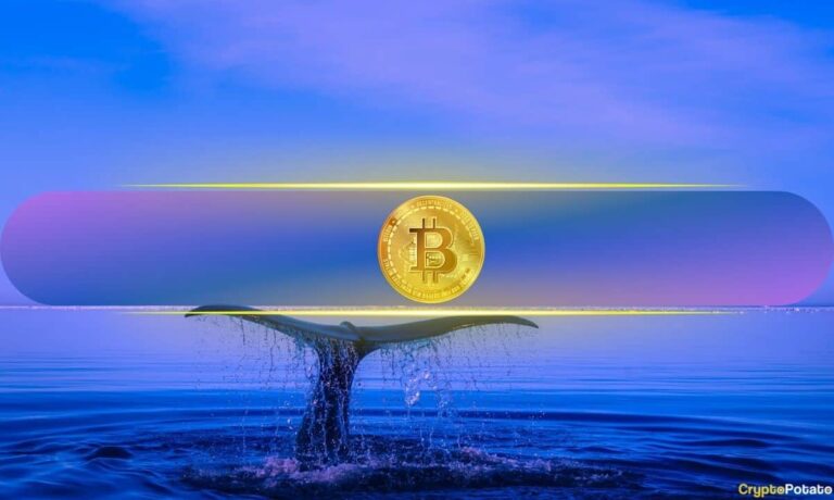 Bitcoin_Whale-1.jpg