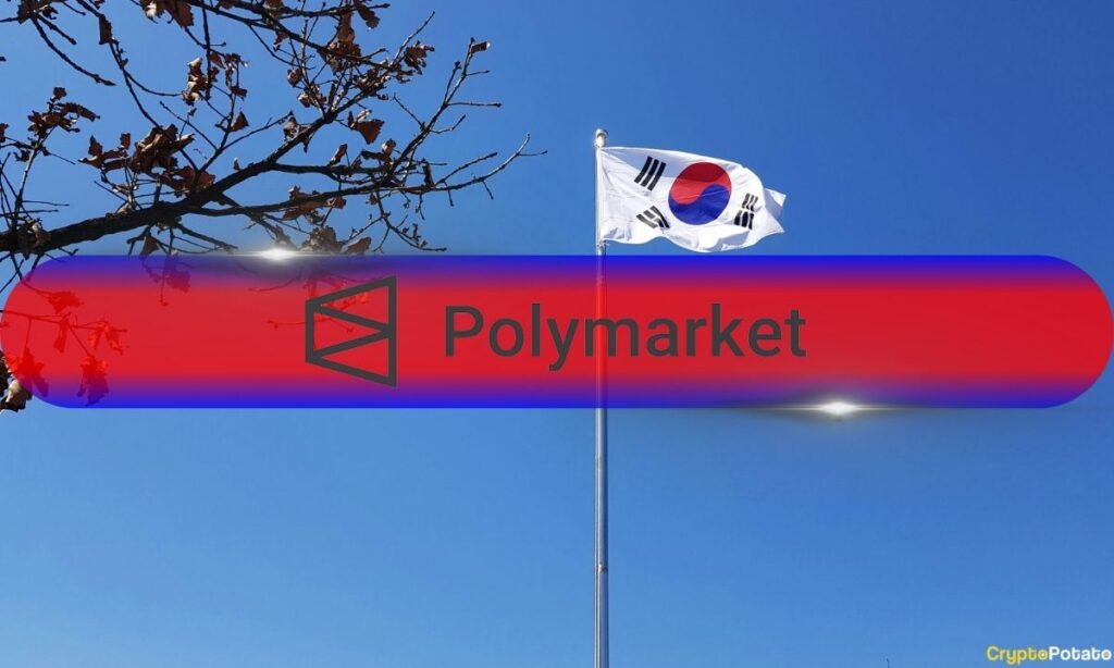 Polymarket.jpg