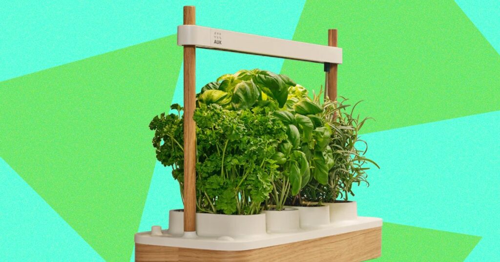 Review-Auk-Mini-2-Indoor-Smart-Garden.jpg
