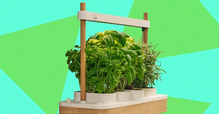 Review-Auk-Mini-2-Indoor-Smart-Garden.jpg