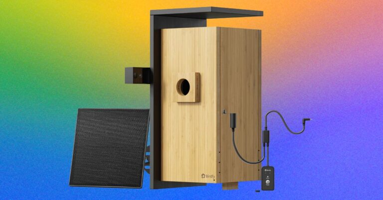 Review-Birdfy-Nest-Duo.jpg
