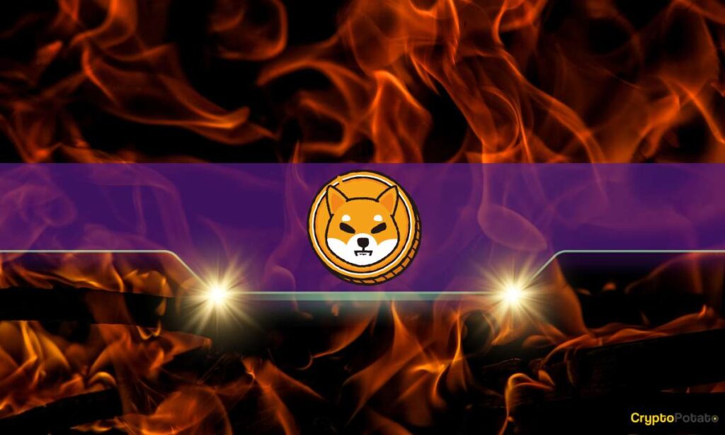SHIB-Burn_CB-13.jpg