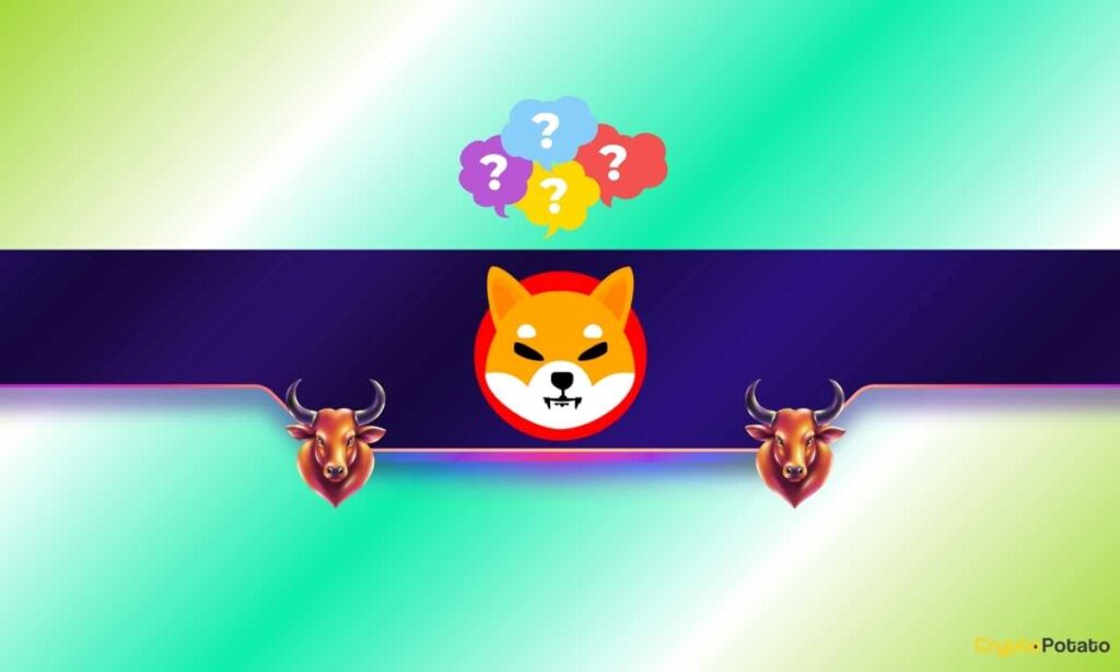 SHIB_CB.jpg