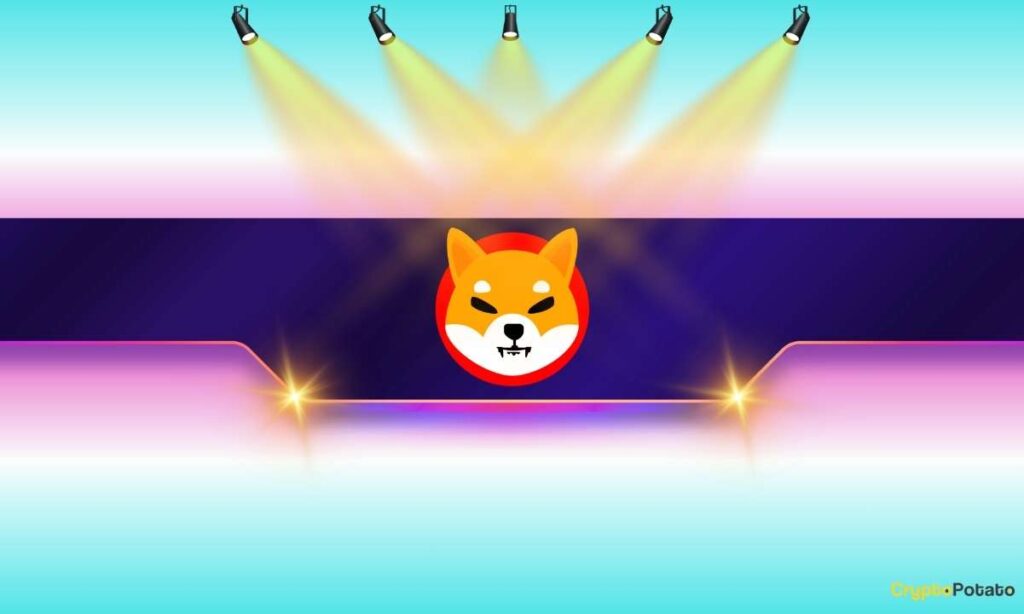 SHIB_CB-6.jpg