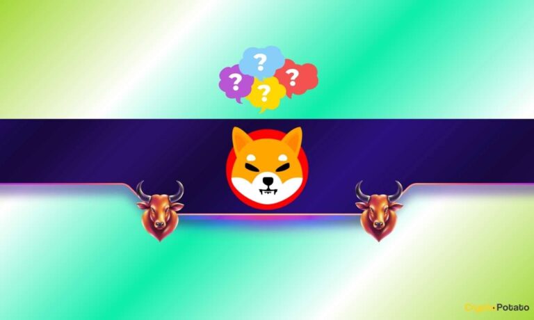 SHIB_CB.jpg