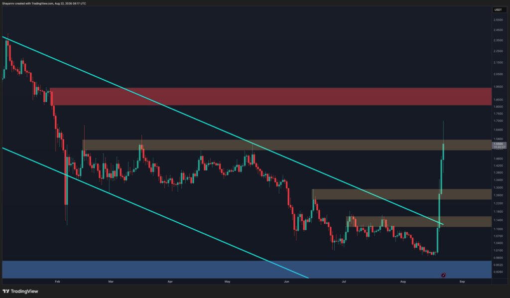 XRP-D-5.jpg