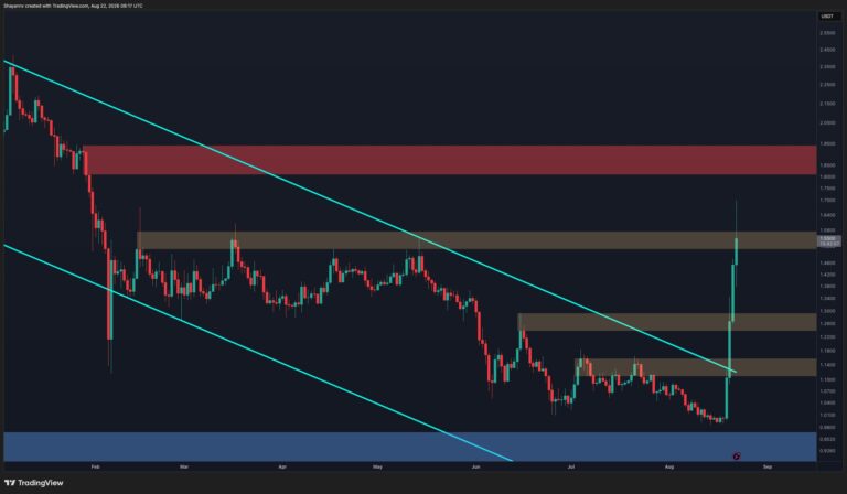 XRP-D-5.jpg