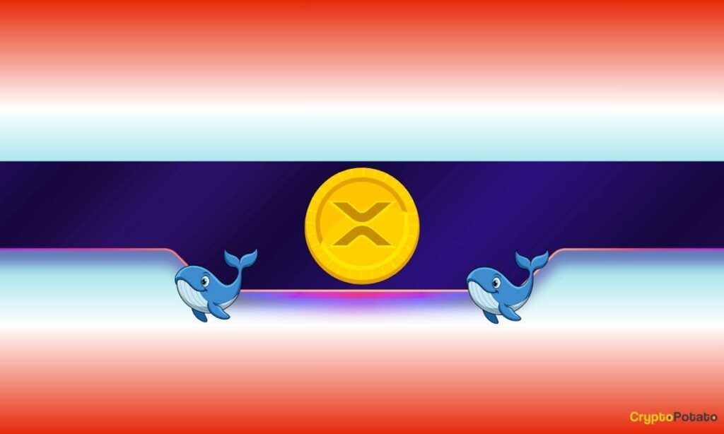 XRP_CB-4.jpg
