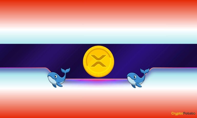 XRP_CB-4.jpg