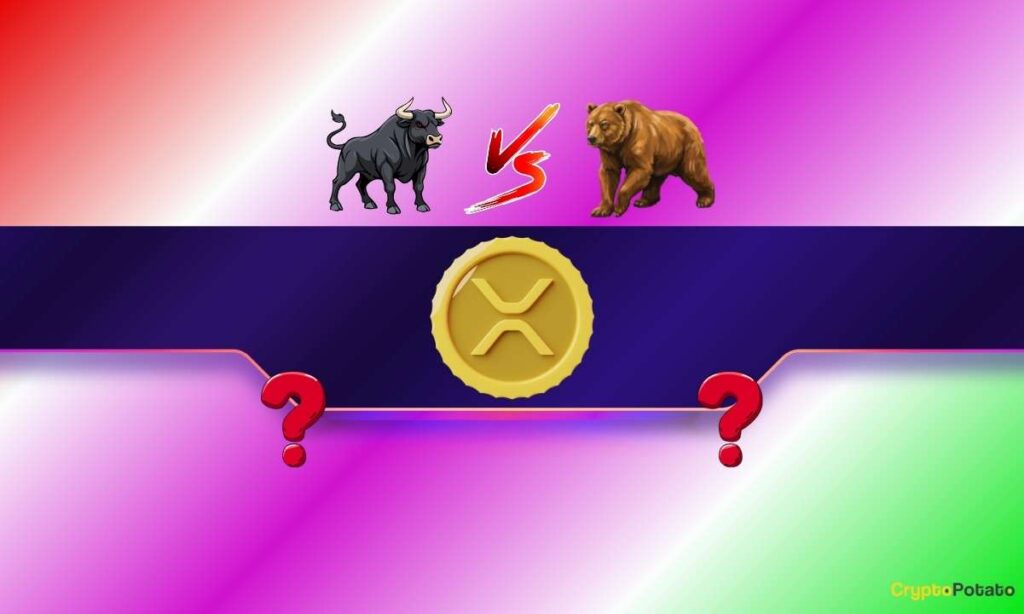 XRP_CB-8.jpg