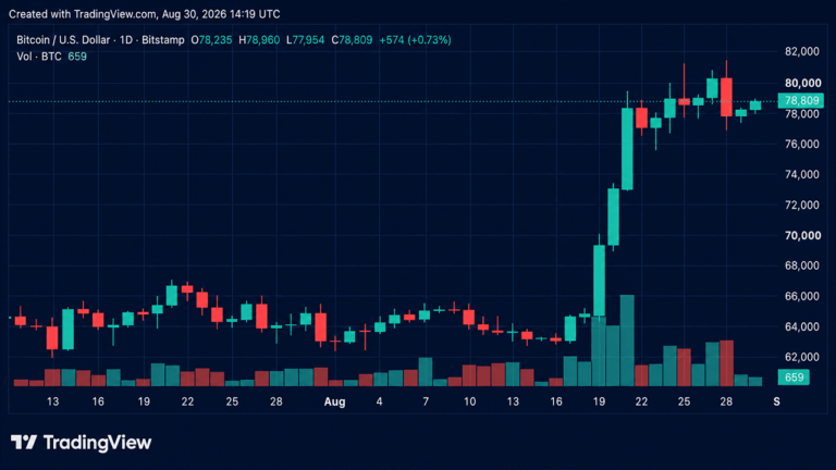 bulls-reload-for-another-assault-on-81k-as-bitcoins-price-rises.png