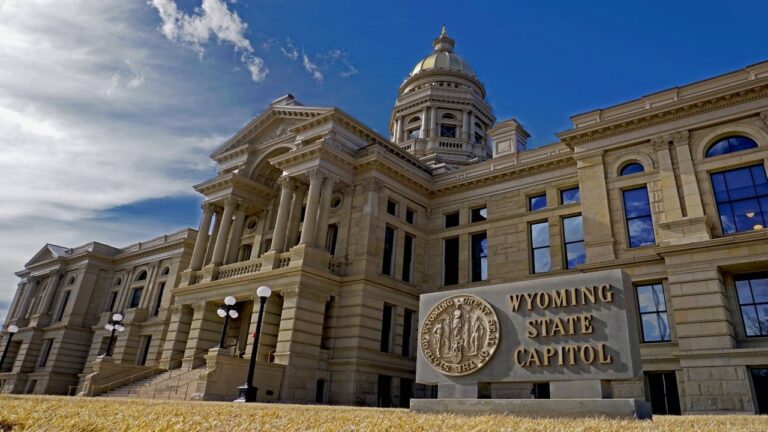 chainlinks-link-jumps-3-to-9-70-as-wyoming-moves-frnt-to-ccip-for-added-security.jpg