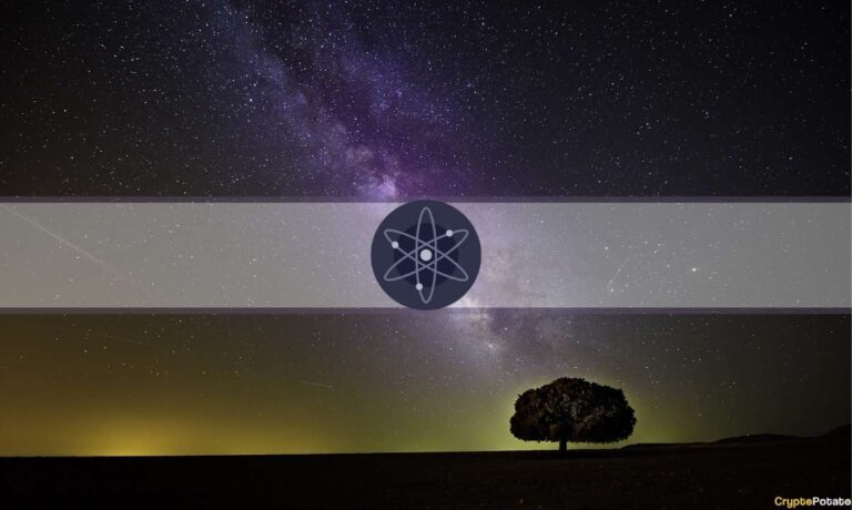 cosmos_cover-1.jpg