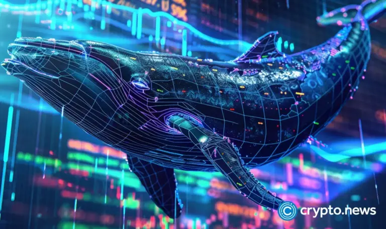 crypto-news-whale-option03.webp
