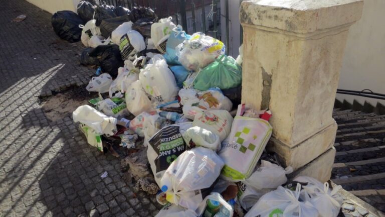 italian-bin-crew-digs-1-15m-lottery-ticket-out-of-a-waste-truck.jpg