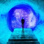 whales-run-stablecoins-projects.jpg