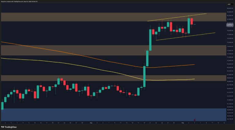 BTC-D-1.jpg