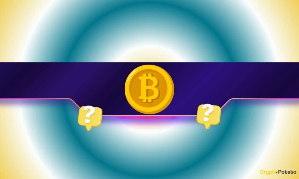 BTC_CB-27.jpg