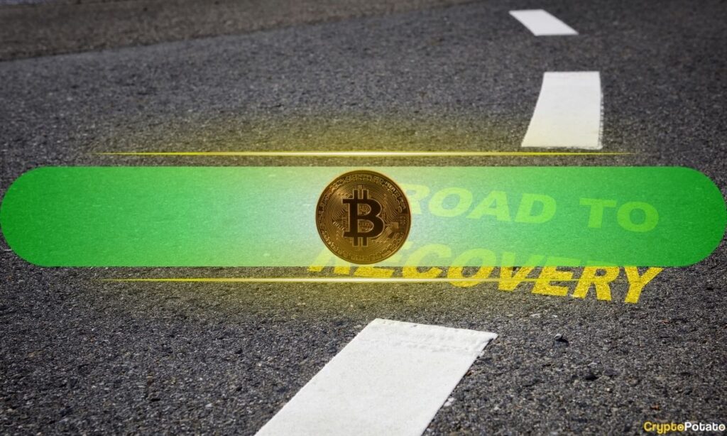 Bitcoin_Recovery.jpg