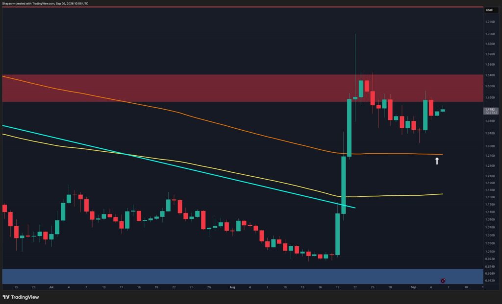 XRP-D-1.jpg