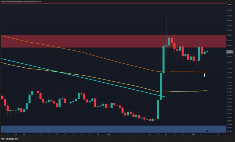 XRP-D-1.jpg