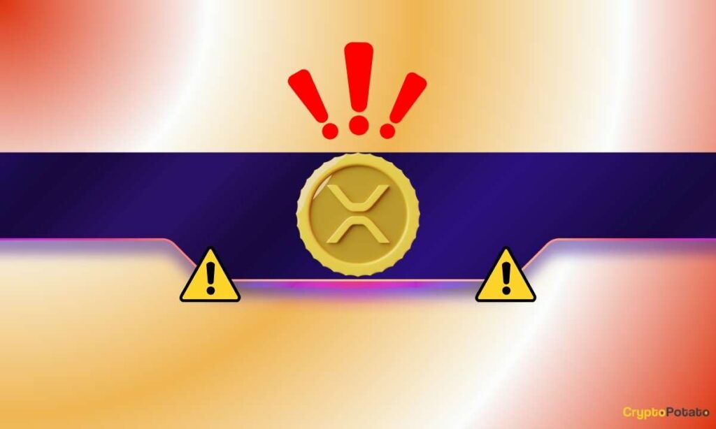 XRP_CB-10.jpg