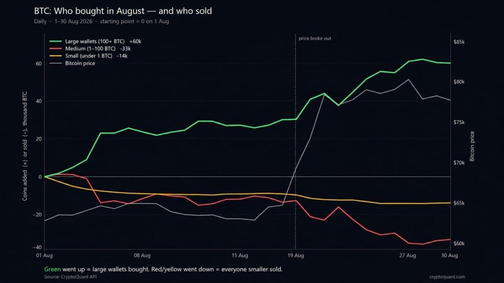 whales-added-60000-bitcoin-in-august-while-retail-sold2_nwmk.jpg