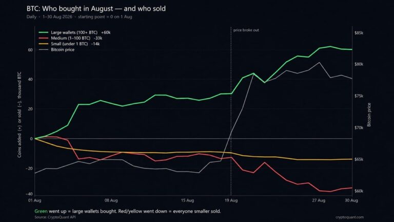 whales-added-60000-bitcoin-in-august-while-retail-sold2_nwmk.jpg