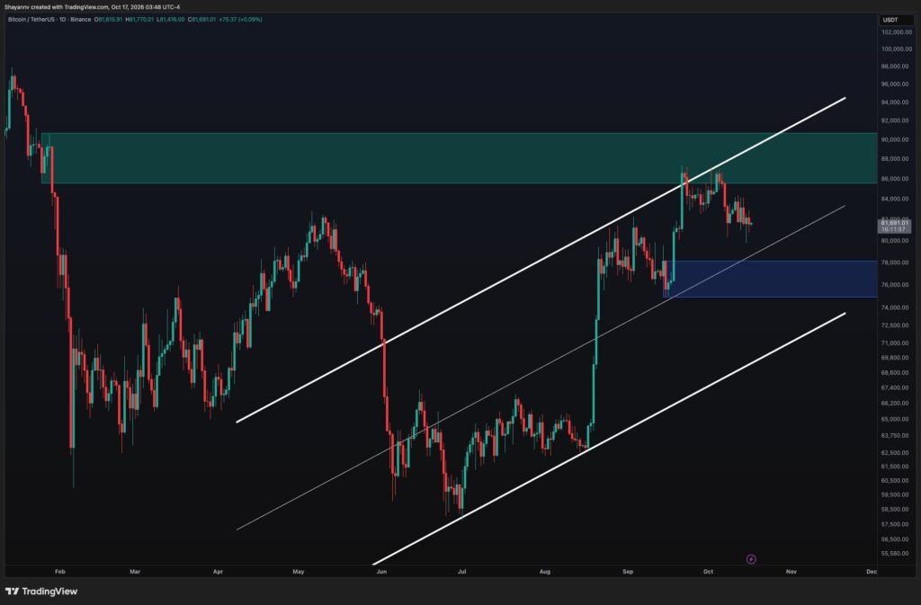 BTC-D-1-2.jpg