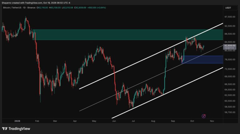 BTC-D-2-1-scaled.jpg