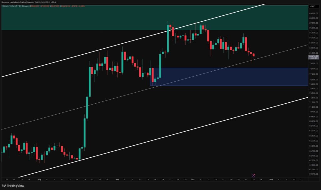 BTC-D-8.jpg