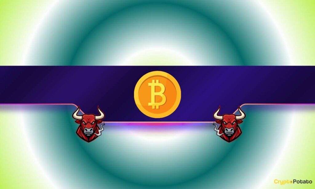 BTC_CB-29.jpg