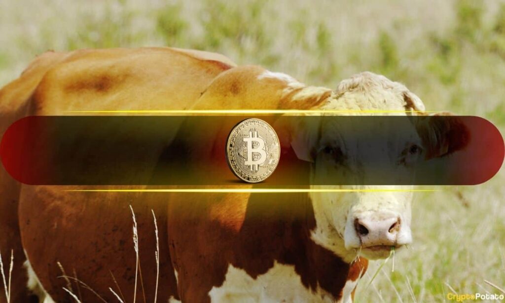Bitcoin_Bull.jpg
