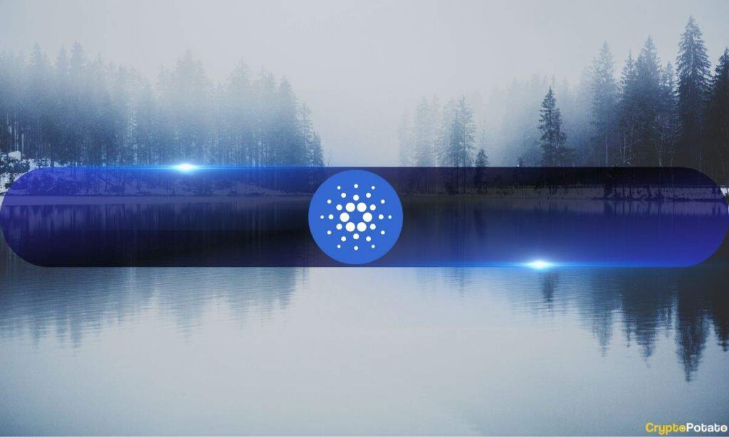 Cardano_Consolidation.jpg