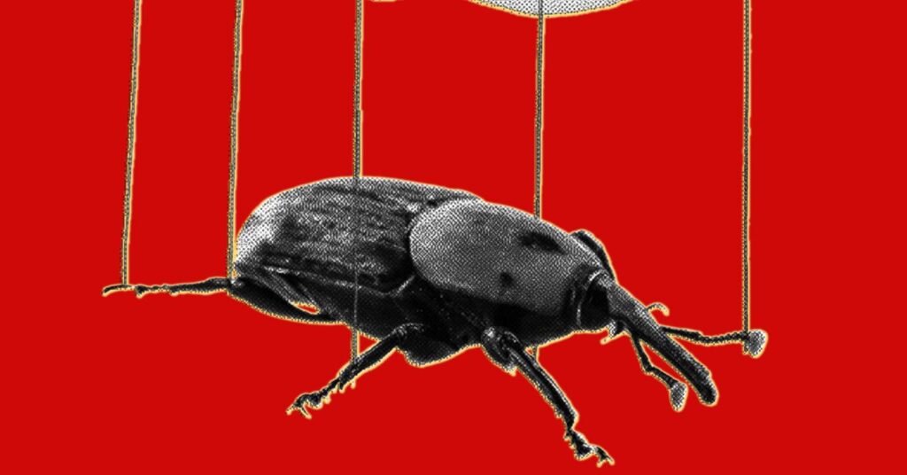 KernelPanic_The20PHP20Meltdown20Shows20How20AI20Makes20Bugs20More20Exploitable.jpg